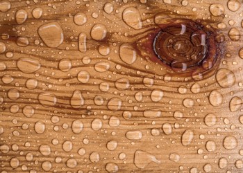 Kako zaštititi i održavati drvo u vlažnim uslovima?