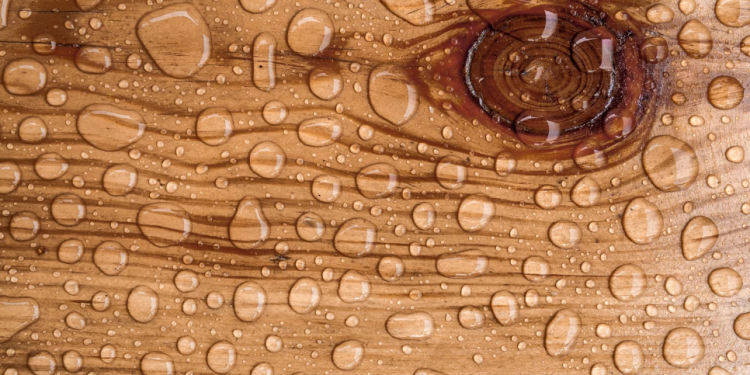 Kako zaštititi i održavati drvo u vlažnim uslovima?