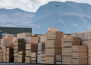 Uvoz drveta u Evropu opao je za 20% u prvoj polovini 2024. godine.