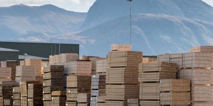 Uvoz drveta u Evropu opao je za 20% u prvoj polovini 2024. godine.