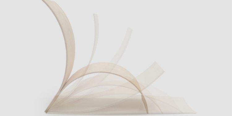 Materijal budućnosti: Inovacije u drvetu