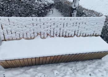 Inovativni pristup istraživanju trajnosti drveta u različitim klimatskim uvjetima