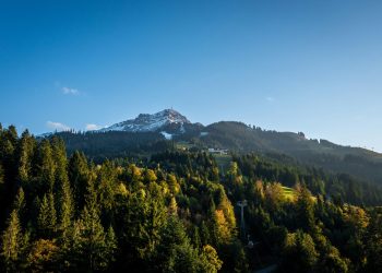 Industrija upozorava: EU pravila o sprječavanju krčenja šuma mogla bi poremetiti cijeli lanac vrijednosti drvne industrije