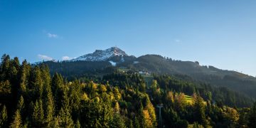 Industrija upozorava: EU pravila o sprječavanju krčenja šuma mogla bi poremetiti cijeli lanac vrijednosti drvne industrije