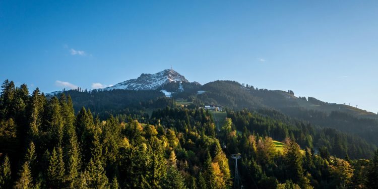 Industrija upozorava: EU pravila o sprječavanju krčenja šuma mogla bi poremetiti cijeli lanac vrijednosti drvne industrije